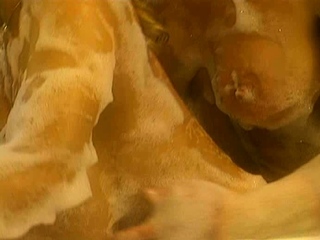 Blonde and brunette lesbians licking and sucking pussy